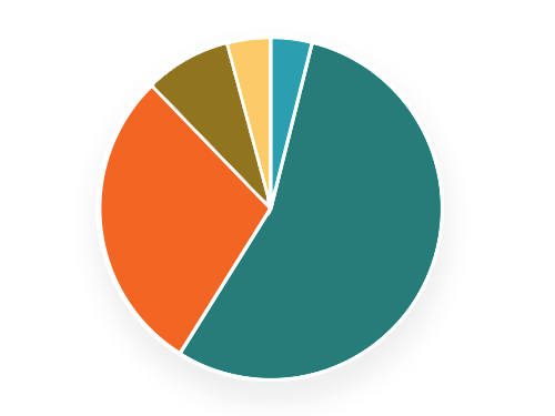 Pie Chart 2021