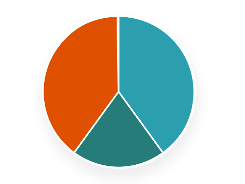 Pie Chart 2019