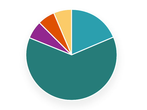 Pie Chart 2020